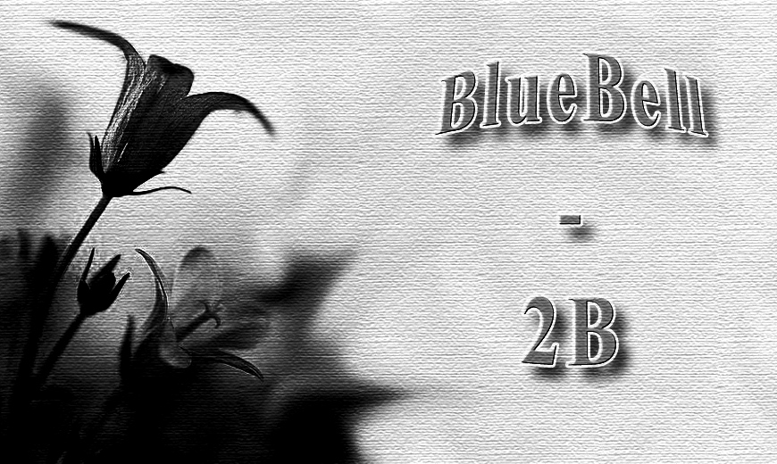 BlueBell - 2B